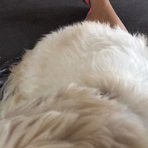 Meet your Posher, Shawna